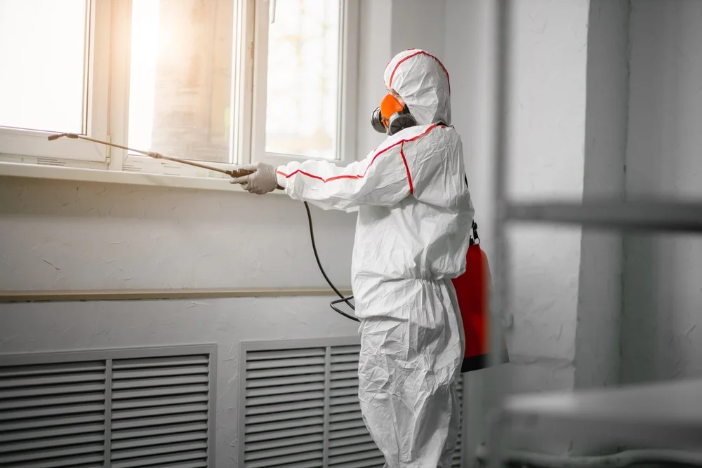 Professional mold remediation services in Immokalee, FL